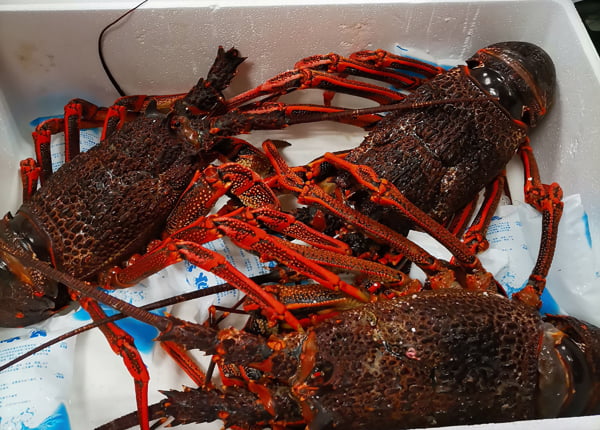 私宴海鲜原料